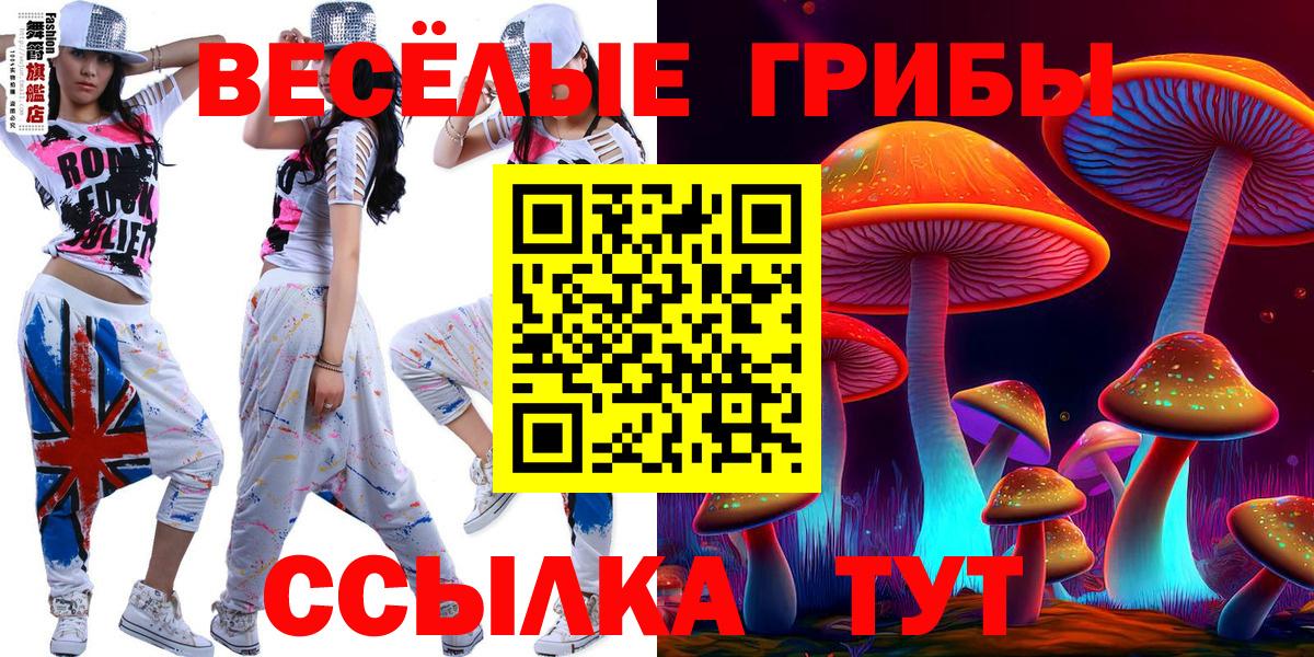 Галлюциногенные грибы Psilocybine cubensis  Вход с VPN  Ирбит 