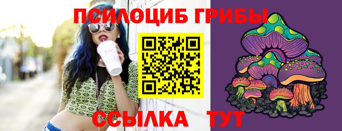Псилоцибиновые грибы Psilocybine cubensis Ирбит